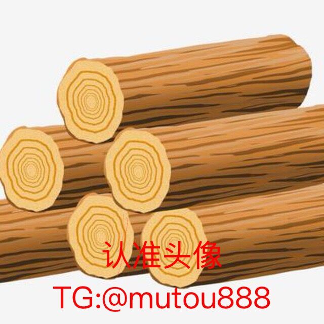 QQ图片20260225142304.jpg QQ图片20260225142304.jpg